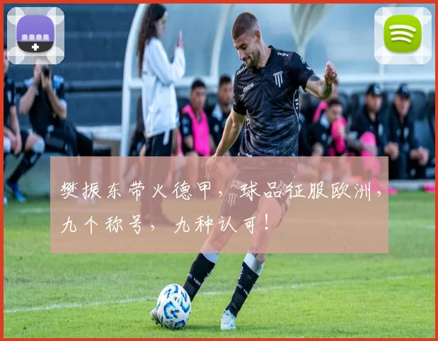 樊振东带火德甲,球品征服欧洲,九个称号,九种认可!