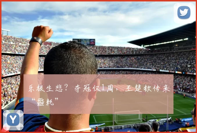 乐极生悲？夺冠仅1周，王楚钦传来“噩耗”