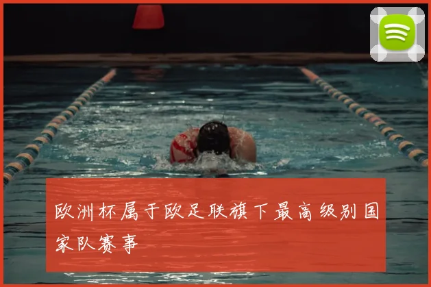 欧洲杯属于欧足联旗下最高级别国家队赛事