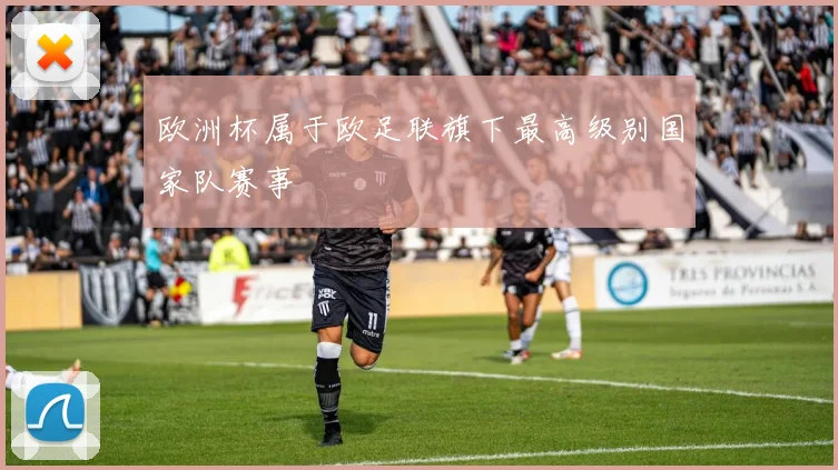 欧洲杯属于欧足联旗下最高级别国家队赛事