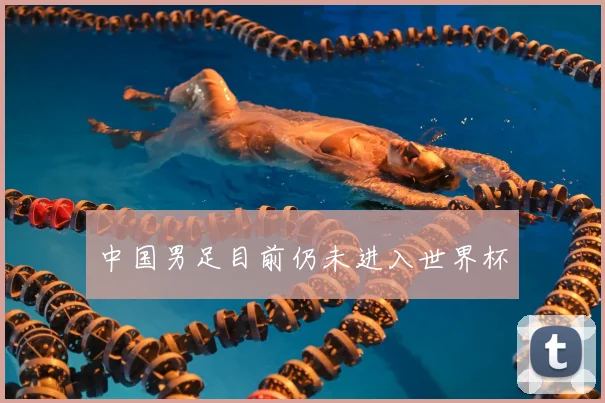 中国男足目前仍未进入世界杯