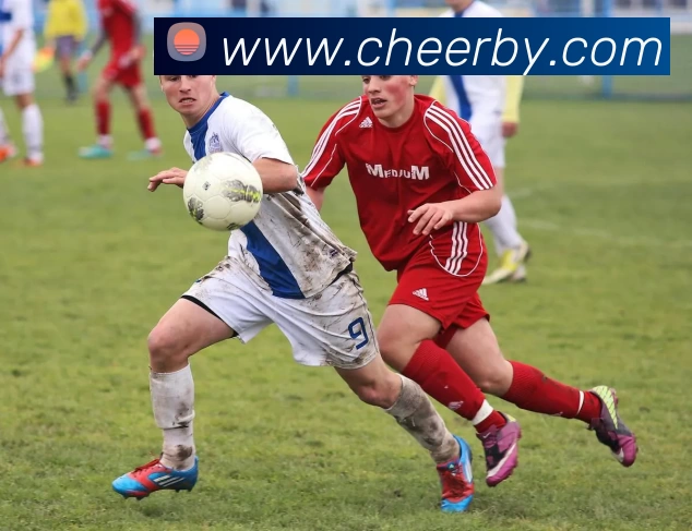 开云app官方在线入口 - 开云kaiyun(中国)发展历程